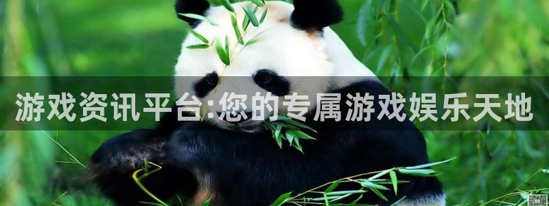 赢咖娱乐平台注册开户：游戏资讯平台:您的专属游戏娱乐天地