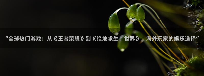 赢咖娱乐网址官网：“全球热门游戏：从《王者荣耀》到《绝地求生
