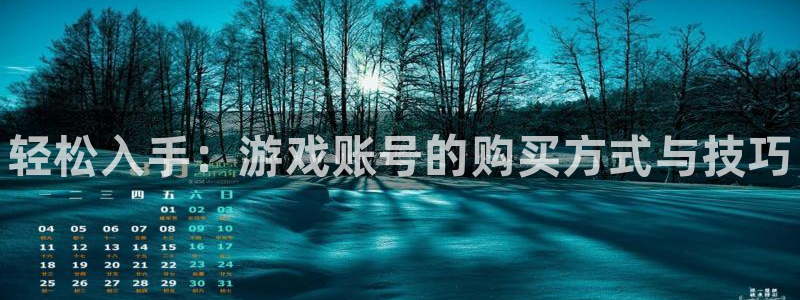 赢咖娱乐手机网页版登录：轻松入手：游戏账号的购买方式与技巧