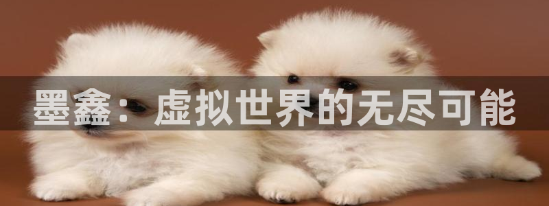 赢咖娱乐平台官网登录：墨鑫：虚拟世界的无尽可能