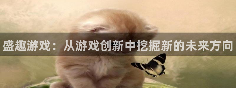 手机赢咖娱乐下载安装：盛趣游戏：从游戏创新中挖掘新的未来方向