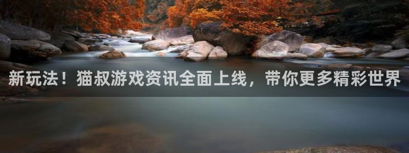 赢咖娱乐网页版地址：新玩法！猫叔游戏资讯全面上线，带你更多精