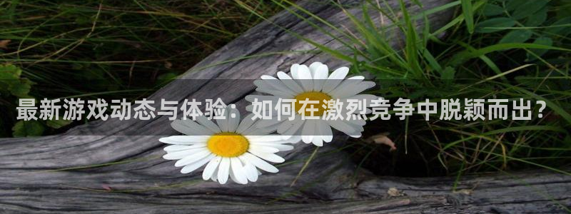 赢咖娱乐平台注册资金多少：最新游戏动态与体验：如何在激烈竞争