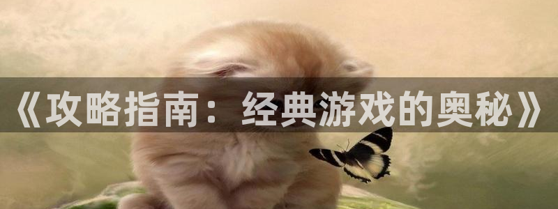 沐春赢咖娱乐：《攻略指南：经典游戏的奥秘》
