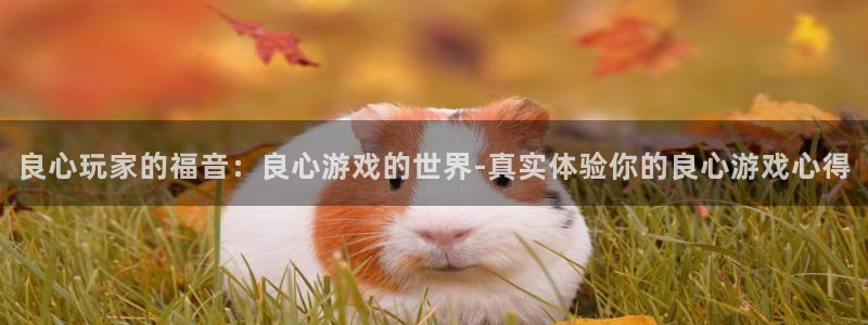 赢咖娱乐app下载：良心玩家的福音：良心游戏的世界-真实体验