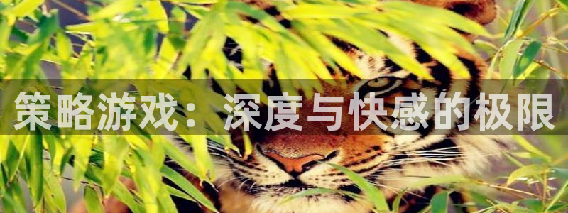 赢咖娱乐4开户：策略游戏：深度与快感的极限
