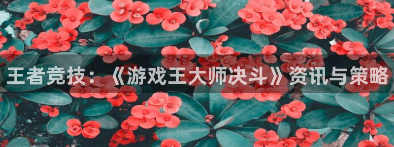赢咖娱乐网址官网：王者竞技：《游戏王大师决斗》资讯与策略