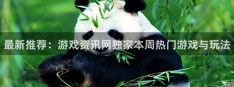 赢咖娱乐的意思：最新推荐：游戏资讯网独家本周热门游戏与玩法