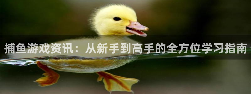 赢咖娱乐下载：捕鱼游戏资讯：从新手到高手的全方位学习指南