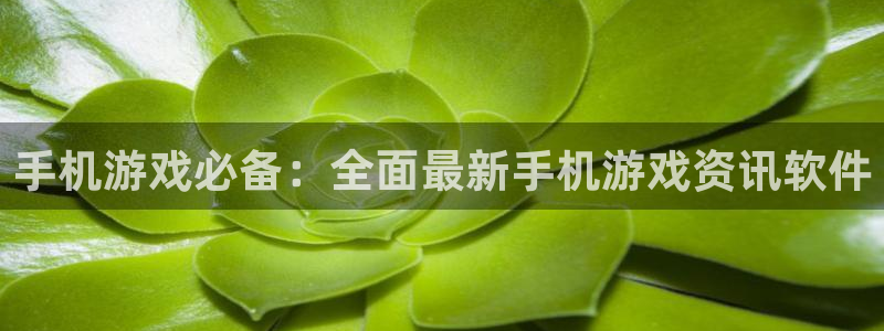 赢咖娱乐是什么：手机游戏必备：全面最新手机游戏资讯软件