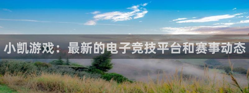 赢咖娱乐注册官方登录app：小凯游戏：最新的电子竞技平台和赛