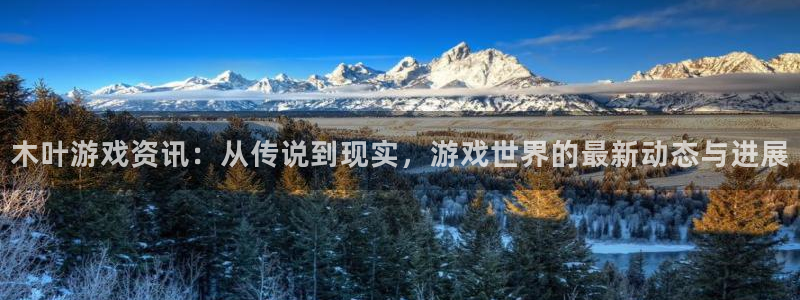 赢咖娱乐：木叶游戏资讯：从传说到现实，游戏世界的最新动态与进