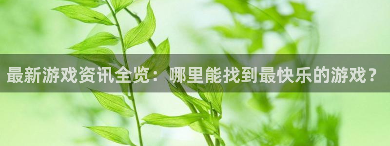 赢咖4上99840精湛：最新游戏资讯全览：哪里能找到最快乐的